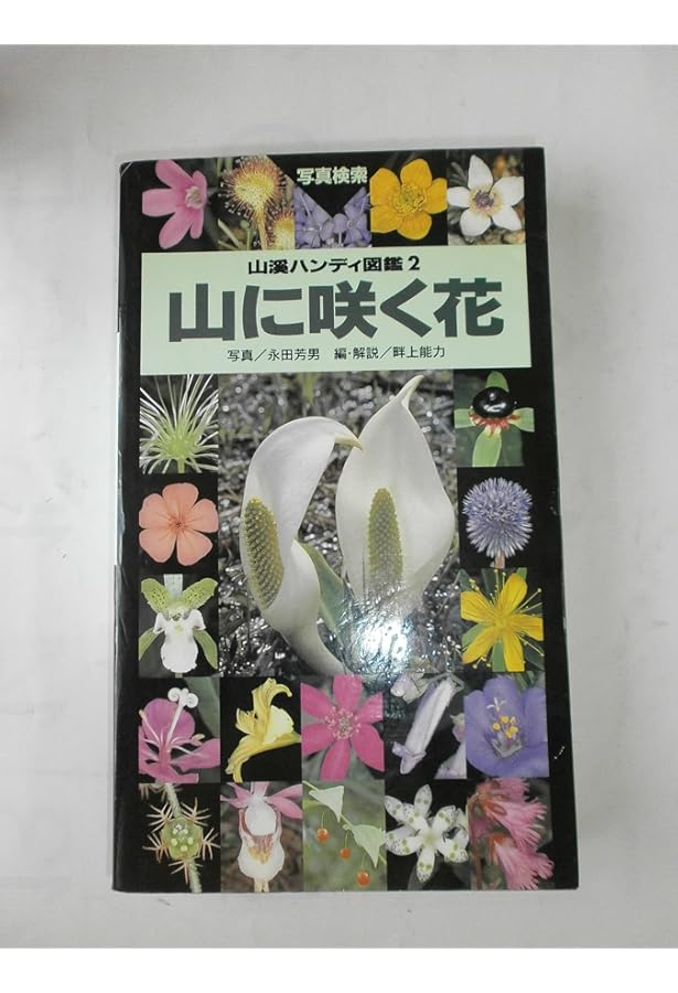花　※必読あり 野に咲く花 (山渓ハンディ図鑑) (山溪ハンディ図鑑 1) | 平野 隆久